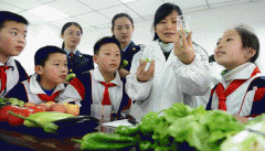 草了监管立异的